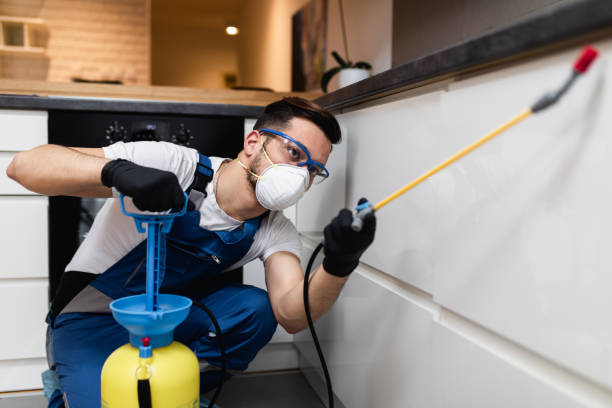 Best Wasp Removal Services  in Taft, FL