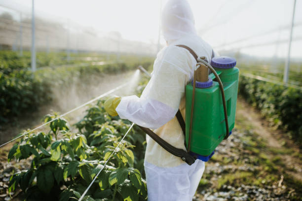 Best Local Pest Control Services  in Taft, FL